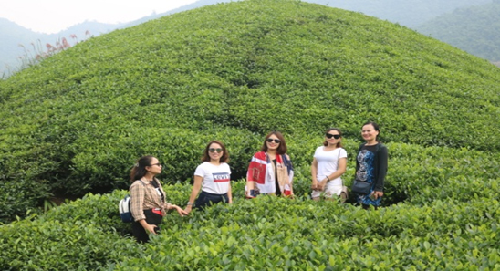 Trà Thái Nguyên gắn với phát triển du lịch
