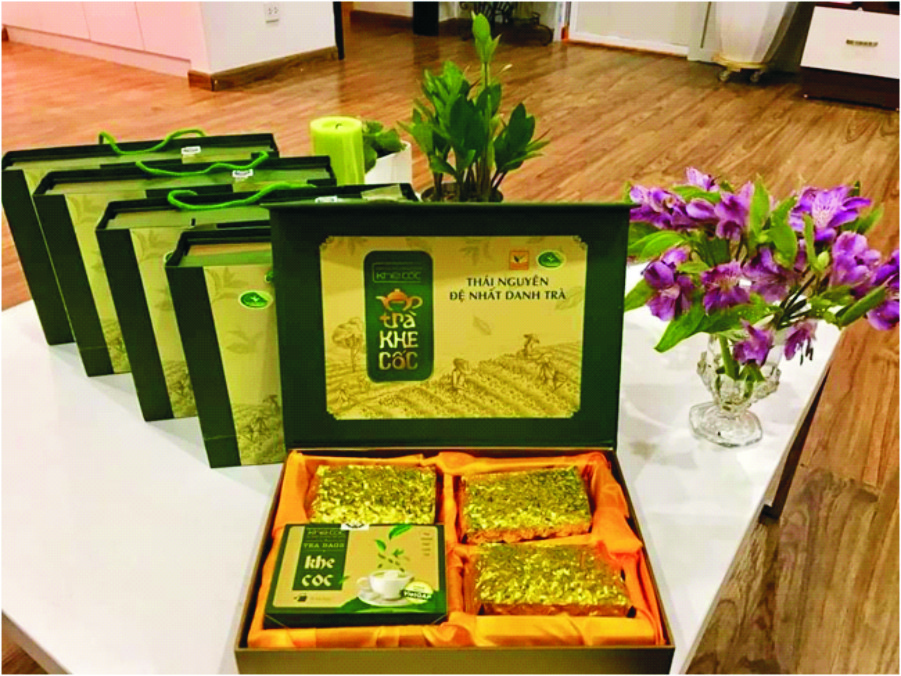 Hợp tác xã chè an toàn Khe Cốc  hướng tới phát triển du lịch sinh thái