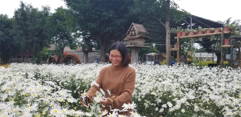 Wonderland - Mùa cúc họa mi