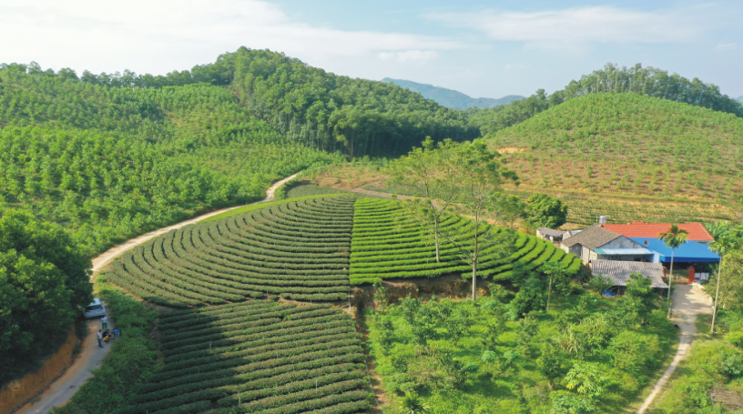 Thái Nguyên ban hành Kế hoạch triển khai các biện pháp kích cầu, phục hồi hoạt động du lịch, lữ hành trên địa bàn tỉnh Thái Nguyên