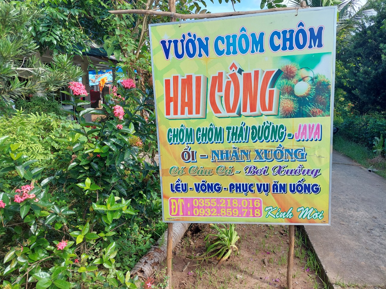 VƯỜN CHÔM CHÔM HAI CÔNG