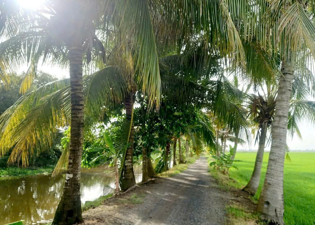 HƯƠNG QUÊ VĨNH LONG