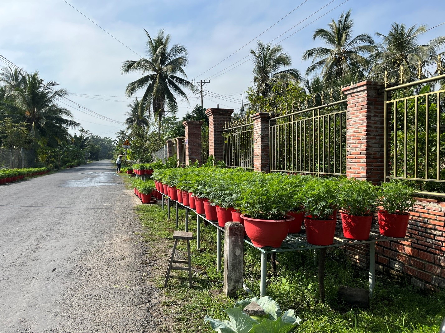 Hương xuân trên miền đất Vĩnh