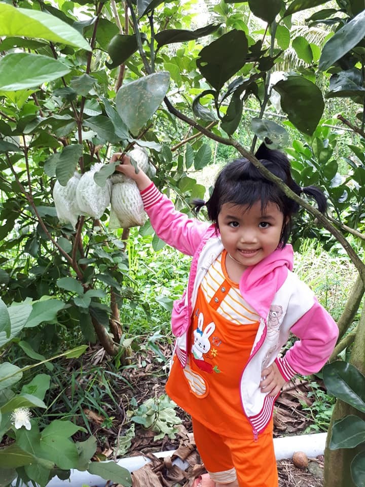 MỘT GÓC QUÊ - VĨNH LONG