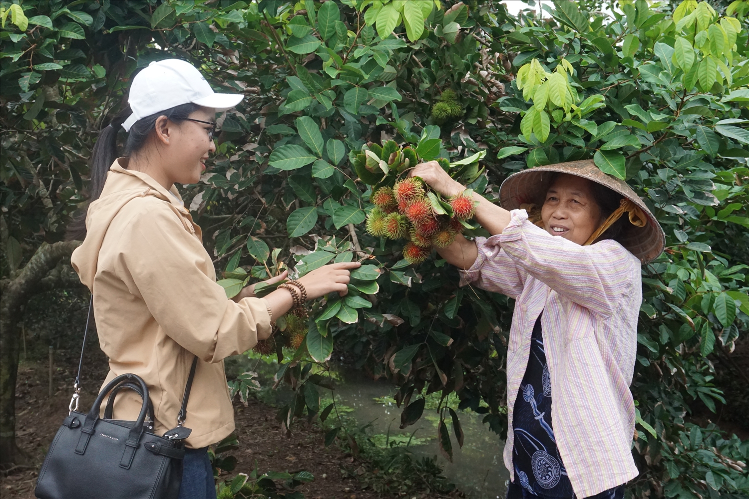 Vĩnh Long: Phát triển du lịch gắn với làng nghề và sử dụng lao động là người dân tộc thiểu số