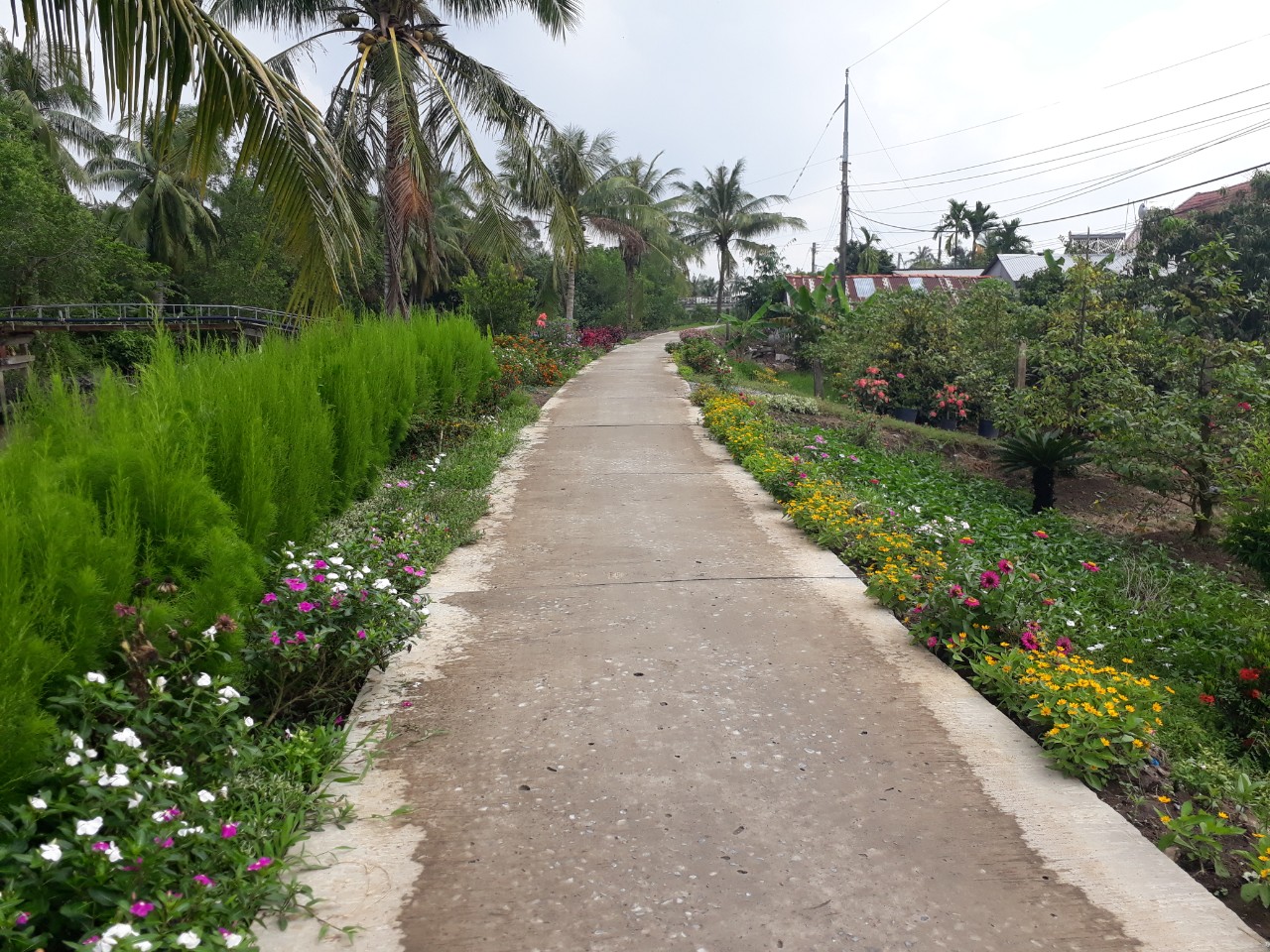 VĨNH LONG – THƯƠNG LẮM TÌNH QUÊ