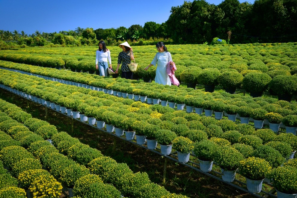 CÙ LAO MINH CHUYỂN MÌNH ĐỔI MỚI