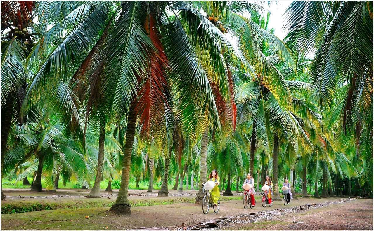 HƯƠNG VỊ NƯỚC MÀU DỪA QUÊ HƯƠNG