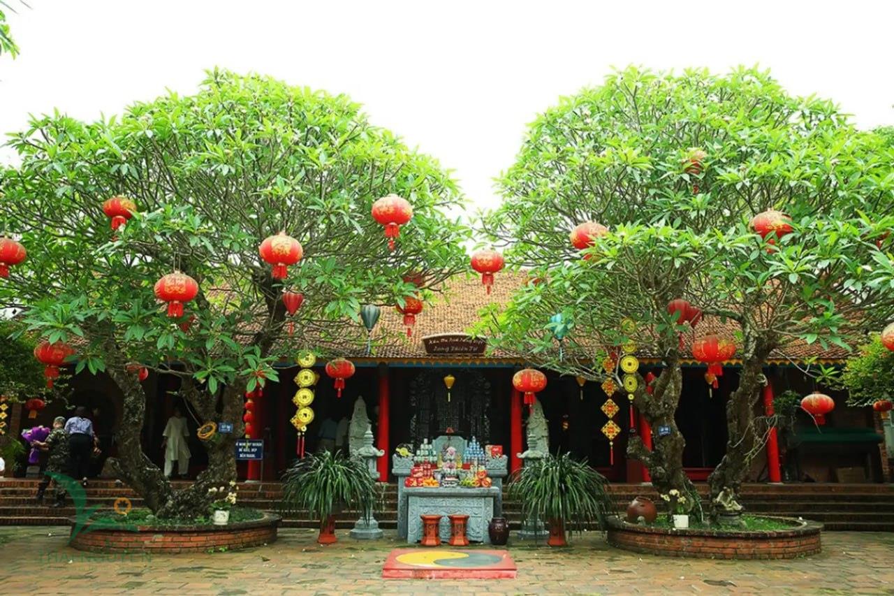 Văn hóa 10