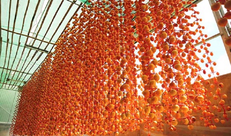 Nghề làm hồng treo đặc sản Đà Lạt