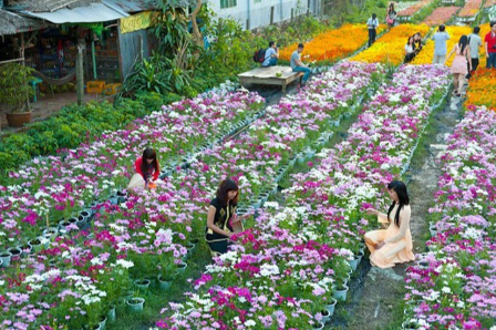 Du lịch canh nông 'hớp hồn' du khách