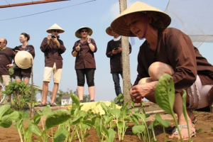 One day as Hoi An residents with planting Tra Que vegetable
