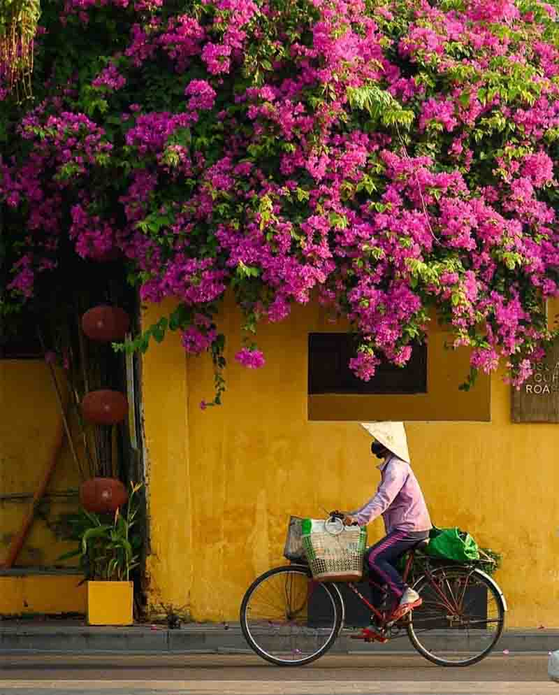 7 things Westerners are interested in when traveling in Vietnam