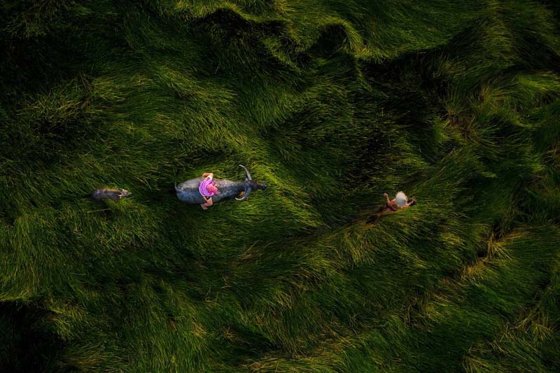Vietnam in the series of aerial photos won the international award