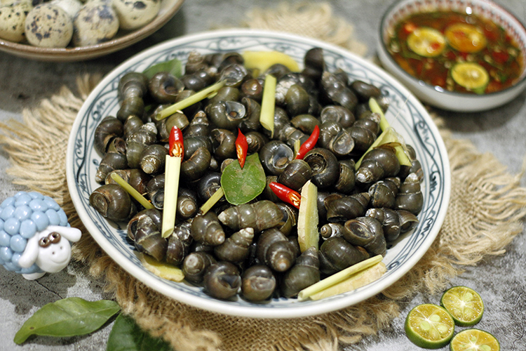  Boiled snails